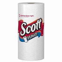 Scott Paper Towel